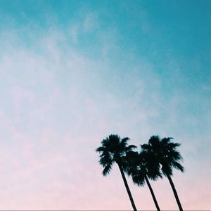 Meet your Posher, Alexa